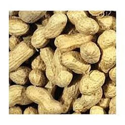 Peanuts In Shells 12.5kg
