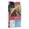 Sixteen Plus Mix Horse Feed 20kg -Kitty Meals Sales dodson horrell sixteen plus mix horse feed 20kg p5634 27295 zoom