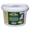 Pro-Bio Probiotic Horse Supplement 1.5kg -Kitty Meals Sales equimins pro bio probiotic horse supplement 1 5kg p909 17533 image