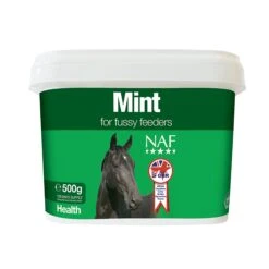 Pure Dried Mint Horse Supplement 500g