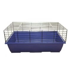 Indoor Guinea Pig Cage