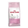 ROYAL CANIN Baby Cat 34 Complete Cat Food 2kg 2 ROYAL CANIN Baby Cat 34 Complete Cat Food 2kg -Kitty Meals Sales royal canin baby cat 34 complete cat food 2kg p8614 14730 zoom