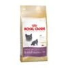 ROYAL CANIN British Shorthair Food 34 - 4kg -Kitty Meals Sales royal canin british shorthair food 34 4kg p9338 14822 zoom