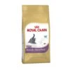 ROYAL CANIN British Shorthair Kitten Food 10kg -Kitty Meals Sales royal canin british shorthair kitten food 10kg p19332 16500 zoom