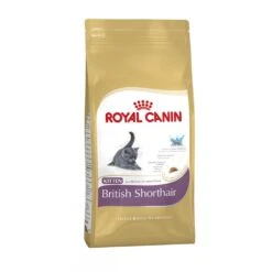 ROYAL CANIN British Shorthair Kitten Food 10kg
