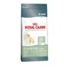 ROYAL CANIN Digestive Care 38 Cat Food 4kg -Kitty Meals Sales royal canin digestive care 38 cat food 4kg p8774 14808 zoom