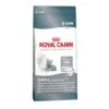 ROYAL CANIN Feline Oral Sensitive 30 Cat Food 8kg -Kitty Meals Sales royal canin feline oral sensitive 30 cat food 8kg p1025 14834 zoom