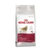 ROYAL CANIN Fit 32 Complete Cat Food 10kg -Kitty Meals Sales royal canin fit 32 complete cat food 10kg p714 14836 zoom
