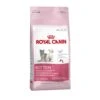 ROYAL CANIN Kitten 36 Complete Cat Food 10kg -Kitty Meals Sales royal canin kitten 36 complete cat food 10kg p711 14838 zoom