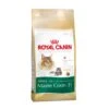 ROYAL CANIN Maine Coon 31 Complete Cat Food 4kg -Kitty Meals Sales royal canin maine coon 31 complete cat food 4kg p8701 14818 zoom