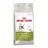 ROYAL CANIN Outdoor 30 Complete Cat Food 4kg -Kitty Meals Sales royal canin outdoor 30 complete cat food 4kg p8636 14788 zoom