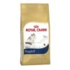 ROYAL CANIN Ragdoll Adult Cat Food 2kg -Kitty Meals Sales royal canin ragdoll adult cat food 2kg p19330 16496 zoom