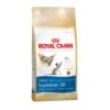 ROYAL CANIN Siamese 38 Cat Food 2kg -Kitty Meals Sales royal canin siamese 38 cat food 2kg p8717 14770 zoom
