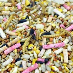 Deluxe Wild Bird Seed Mix 20kg