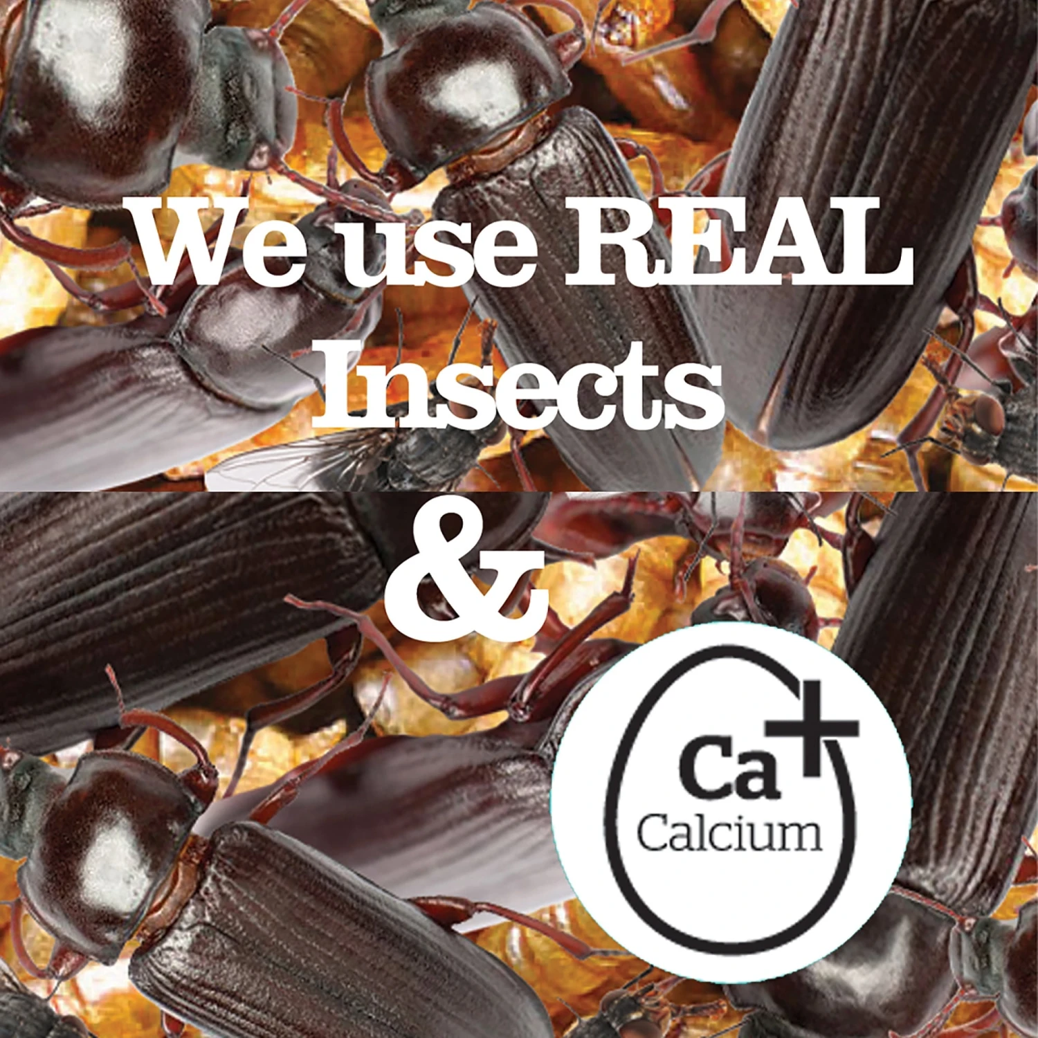 Finest Insect Suet Pellets 12.55kg 5 Finest Insect Suet Pellets 12.55kg - Image 3