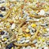 Seed & Mealworm Wild Bird Mix 20kg -Kitty Meals Sales winston wilds seed mealworm wild bird mix 20kg p22528 27670 zoom