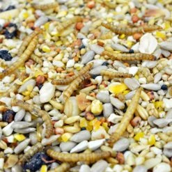 Seed & Mealworm Wild Bird Mix 20kg