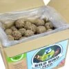 Wild Bird Fat Balls 100 Pack -Kitty Meals Sales winston wilds wild bird fat balls 100 pack p20861 20899 zoom