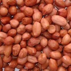 Wild Bird Peanuts 25kg